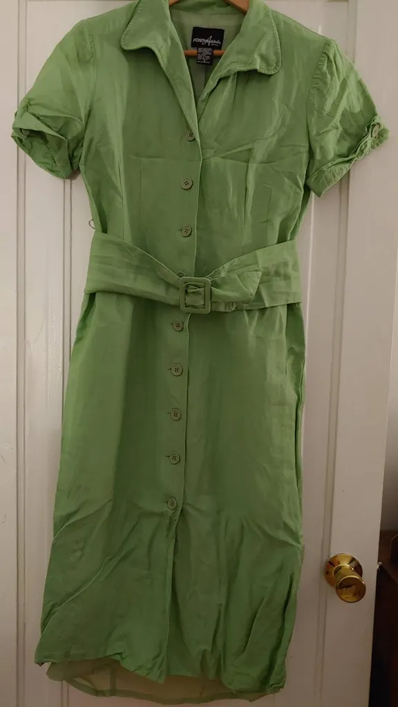 Green Vintage Dress photo 1