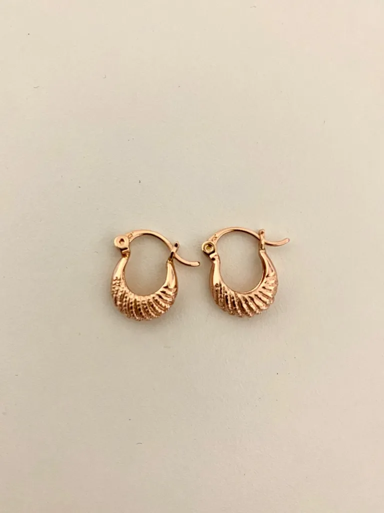 Rose Gold Hoops photo 1