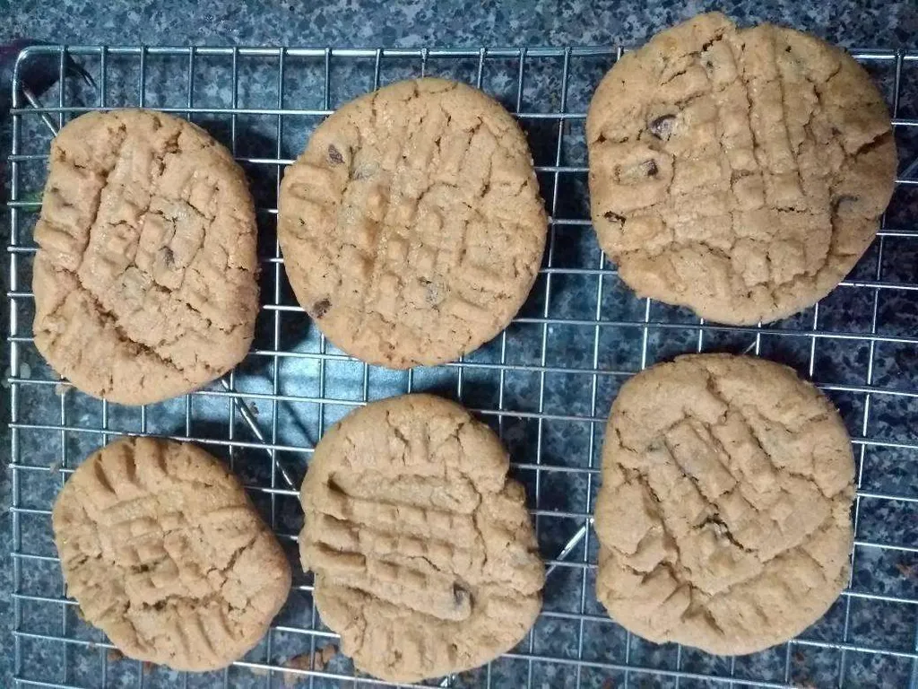 Gluten-free Dairy-free VEGAN Peanut Butter Cookies photo 1