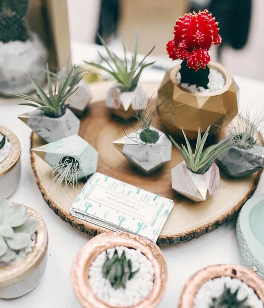 Trading handmade concrete Planters For Gift cards photo 1