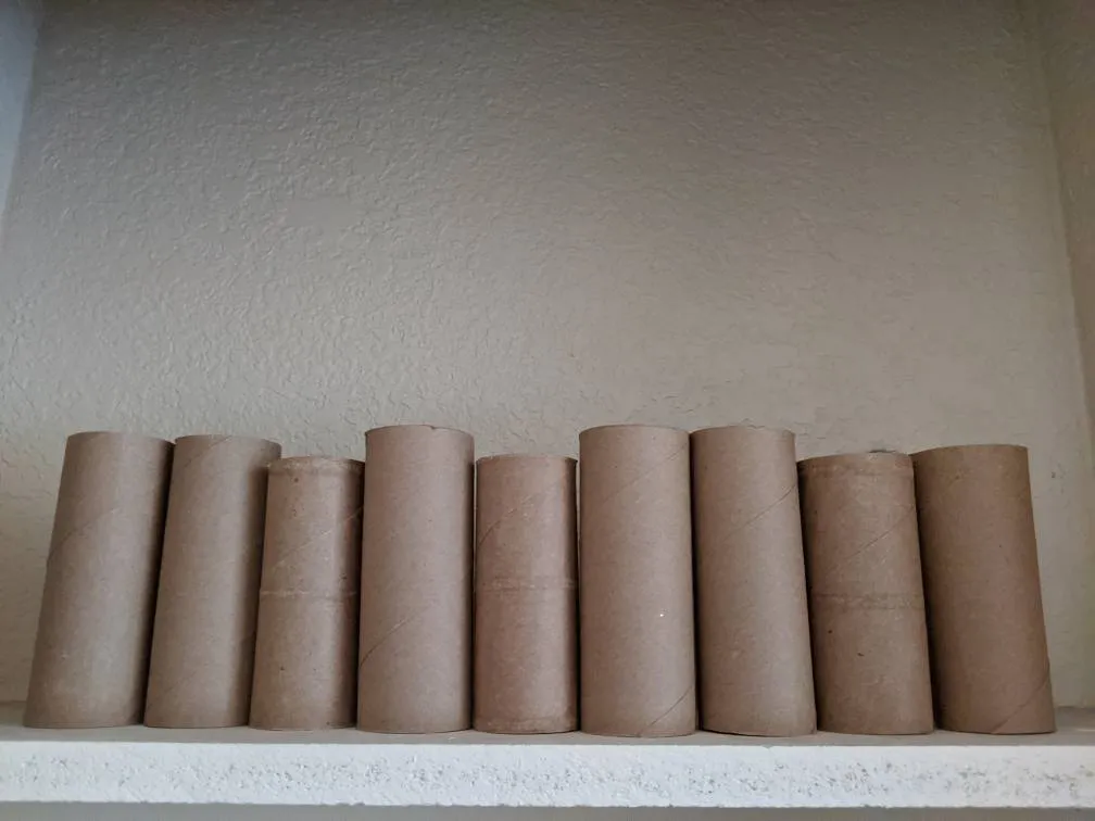 Toilet Paper Rolls photo 1