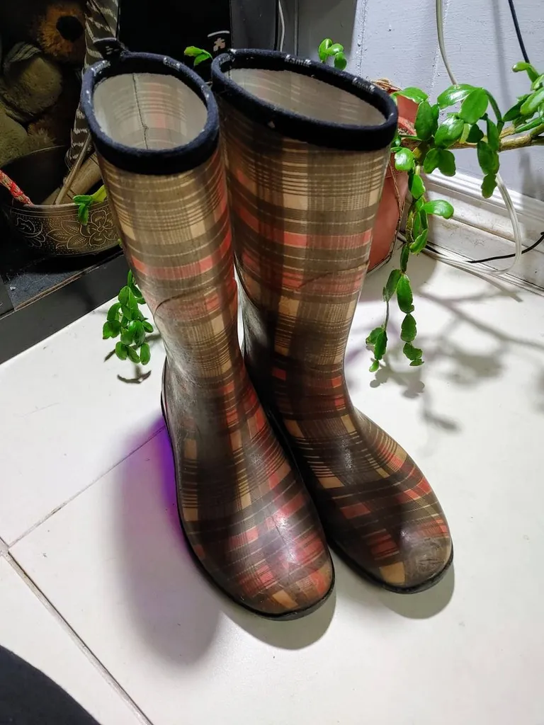 Rainboots Size 9 W photo 1