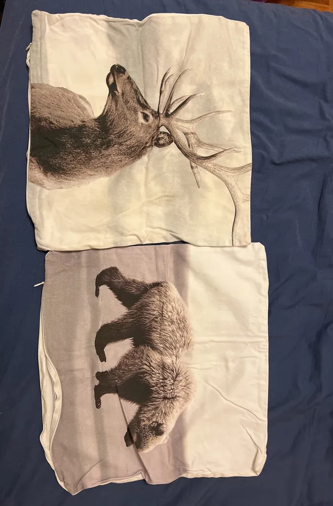 Pillow Cases 14”x14» photo 1