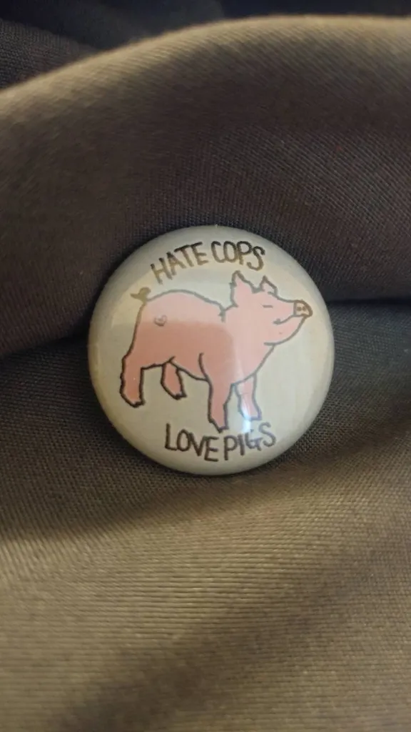 hate cops love pigs pin photo 1