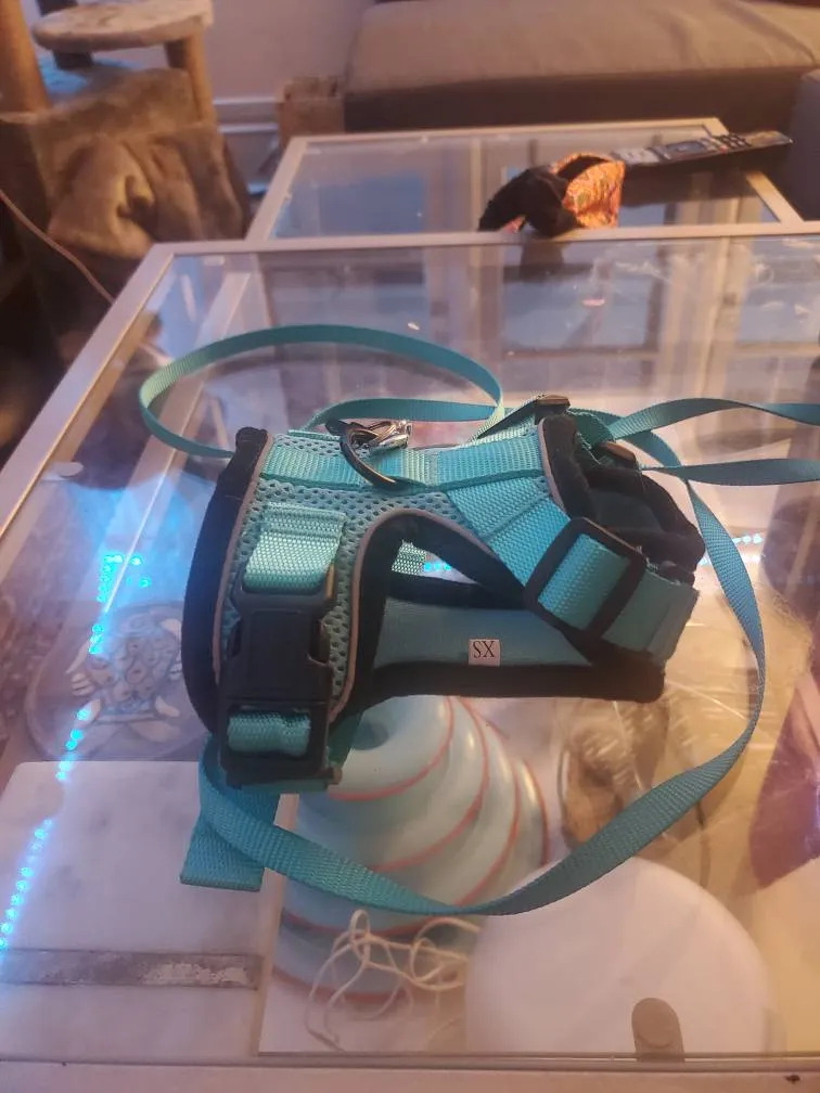 XS Cat Harness Or Small Dog Harness photo 1