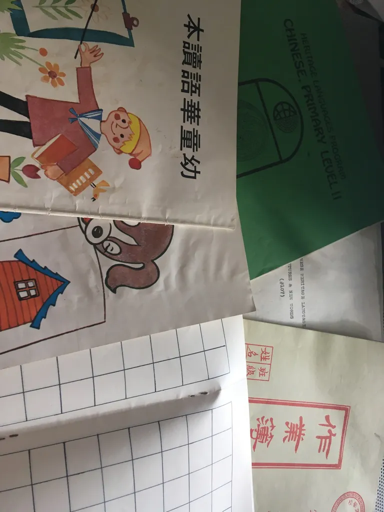 Vintage Mandarin Chinese School Books photo 1