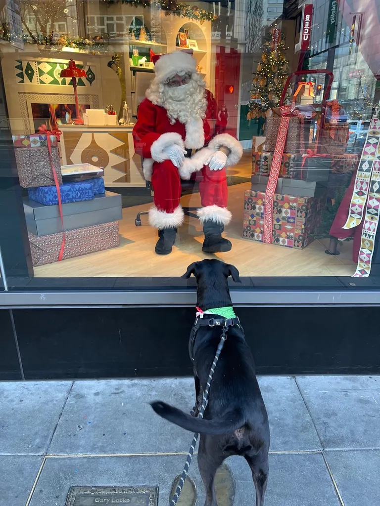 Happy Holidays! photo 1