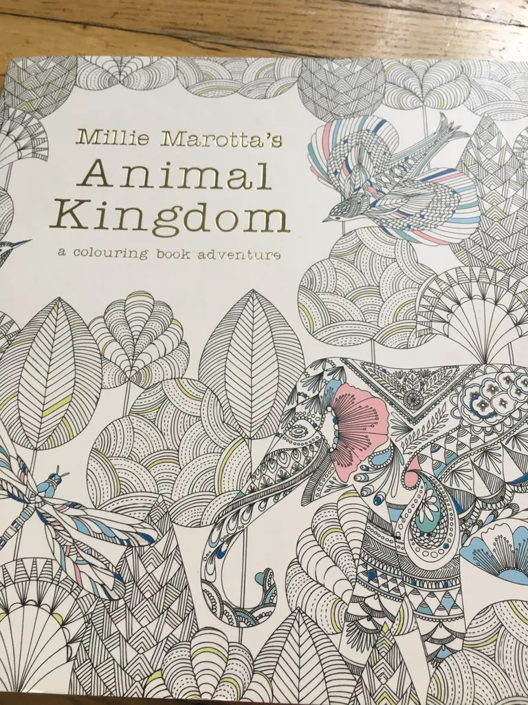 Colouring Book photo 1