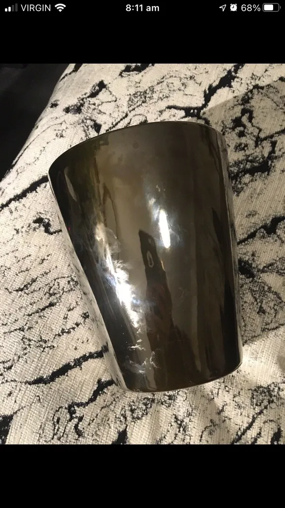 Silver Pot Plant photo 1