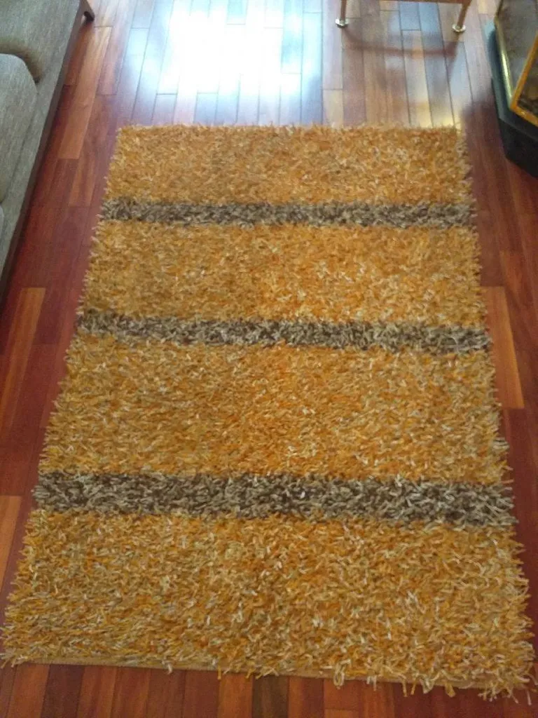 REBUNZ 4'x6' Orange Shag Rug photo 1