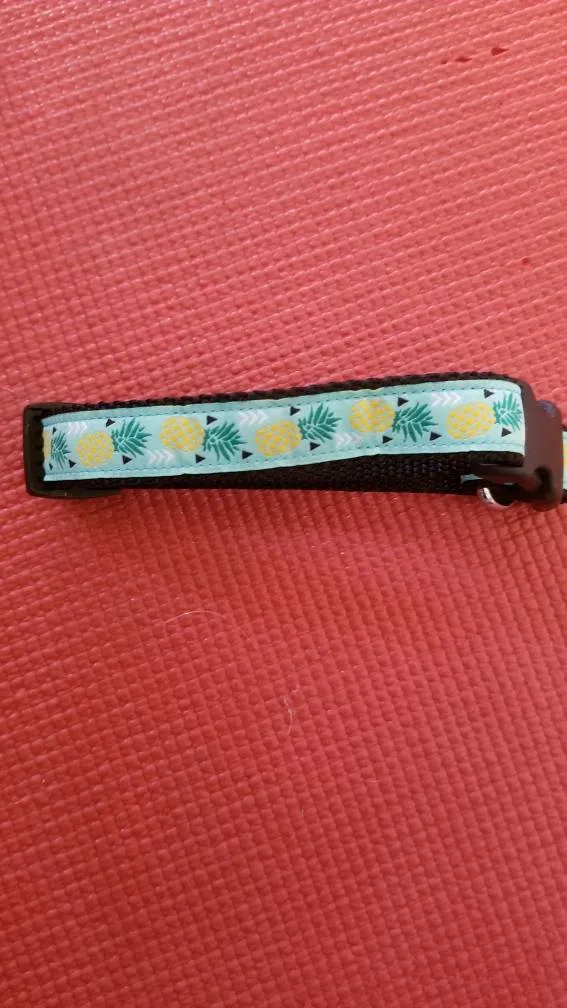Pineape Dog Collar photo 1