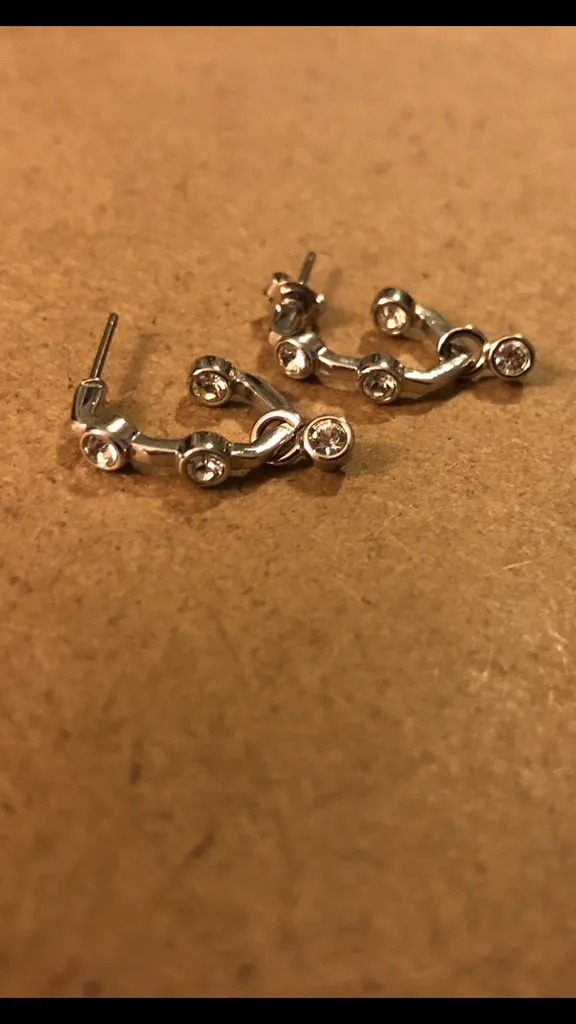 Swarovski Crystal And Stainless Steel Earrings photo 1