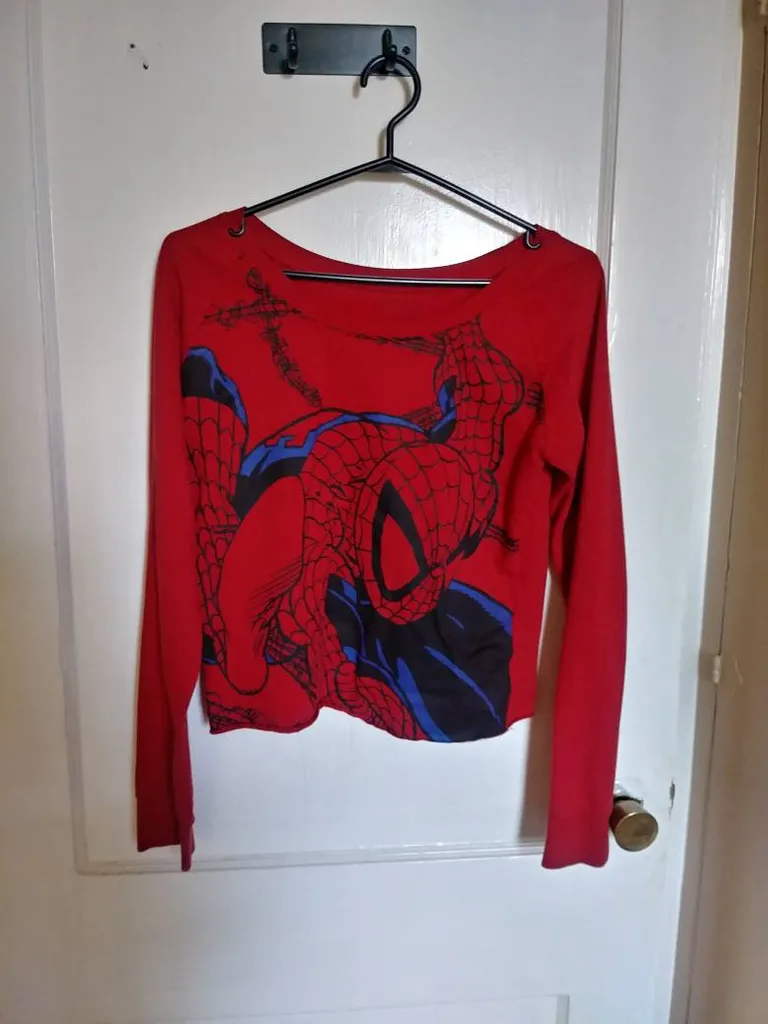 Spiderman Crop photo 1