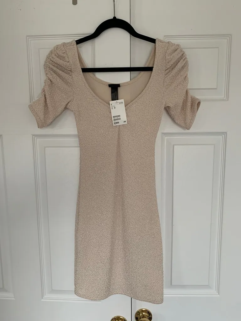 Blush Nude Sparkle Dress photo 1