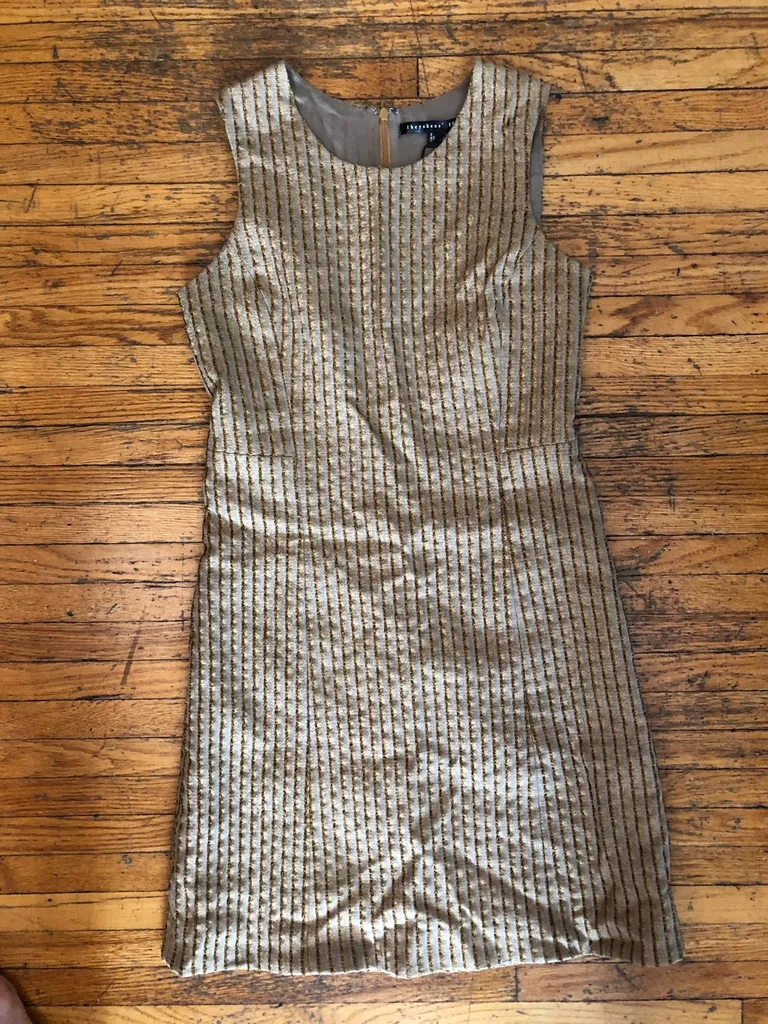 Theory Dress (Theyskins) Size 2 photo 1
