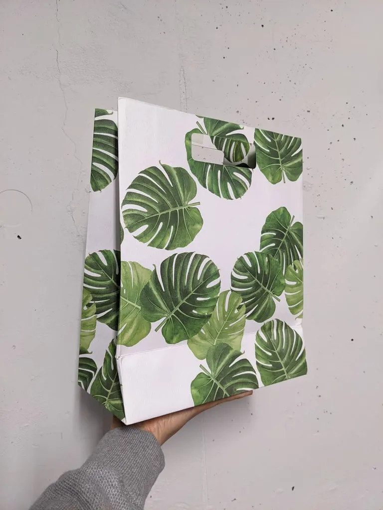 Monstera Gift Bag photo 1