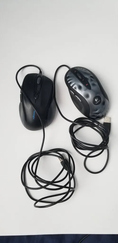 Computer Mice photo 1