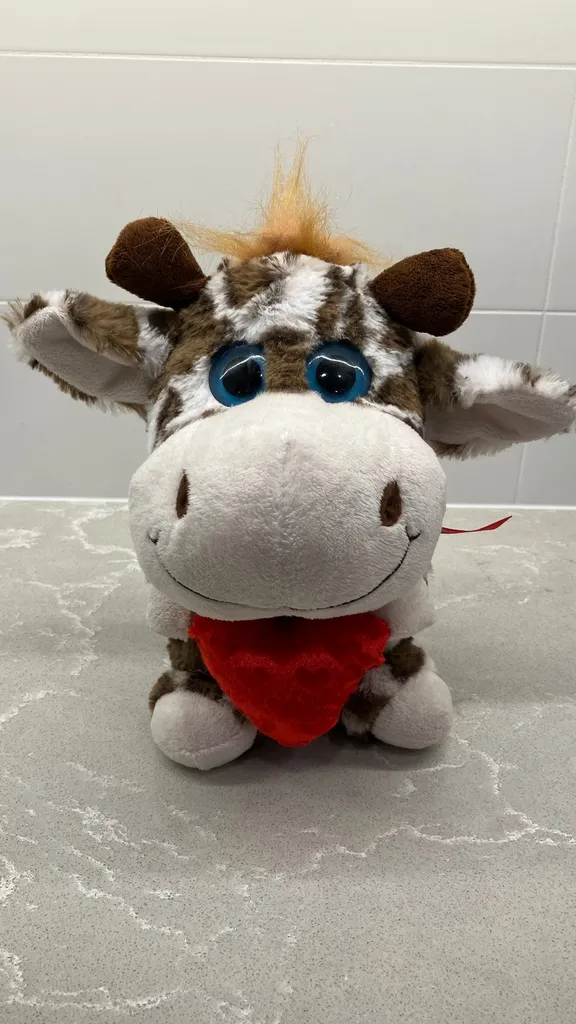 Small Giraffe photo 1