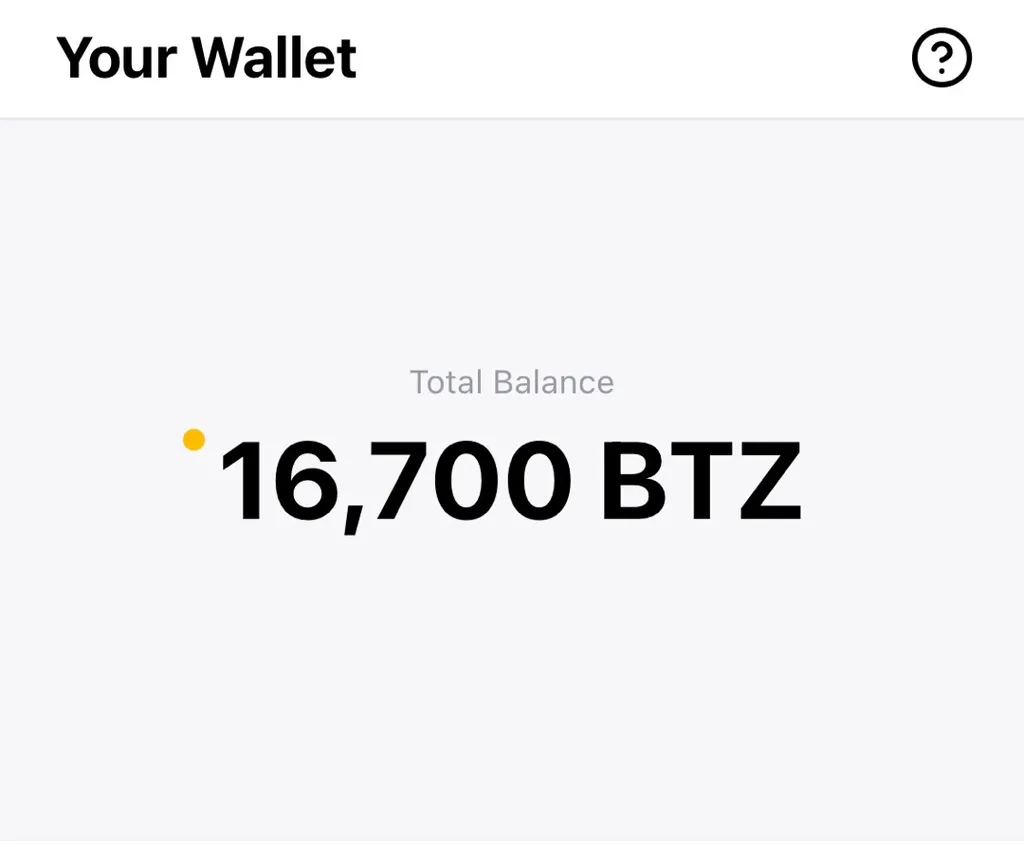 What To Do With All Theze BTZ? photo 1