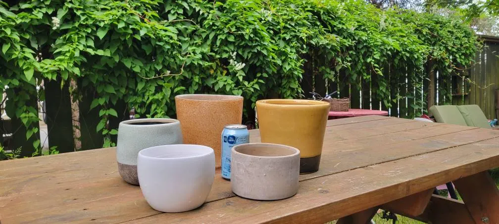 Ceramic & Concrete Planters photo 1