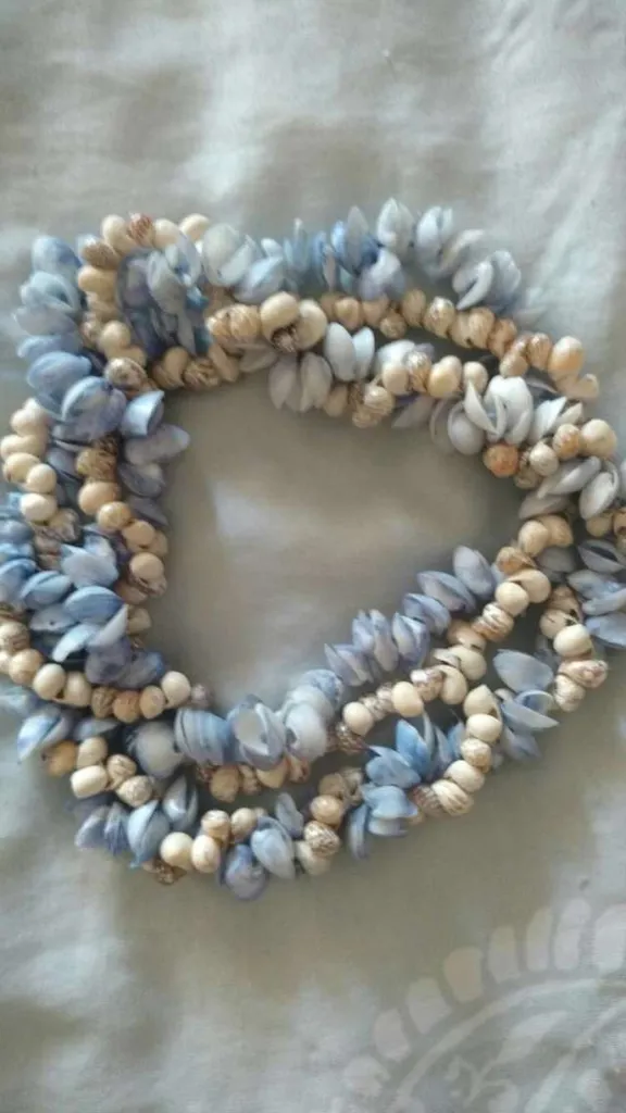 Blue Shelled Beauty photo 1