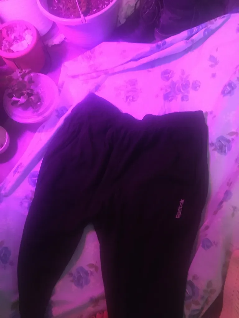 Men’s Rebock Sweatpants photo 1