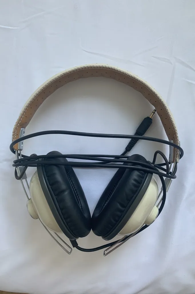 Panasonic RP-HTX7 Headphones photo 1