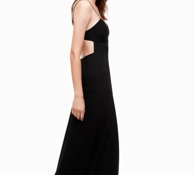 BNWT Aritzia Jeanie Dress 2 photo 1