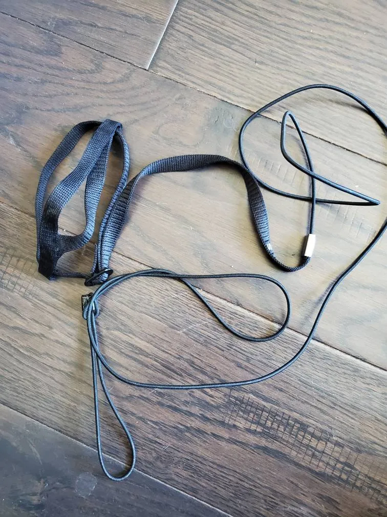 Bird Harness photo 1