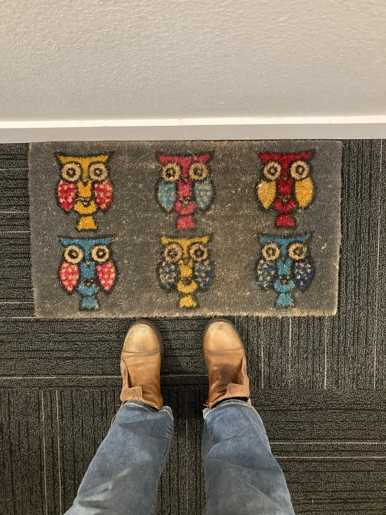 Owl Themed Doormat photo 1