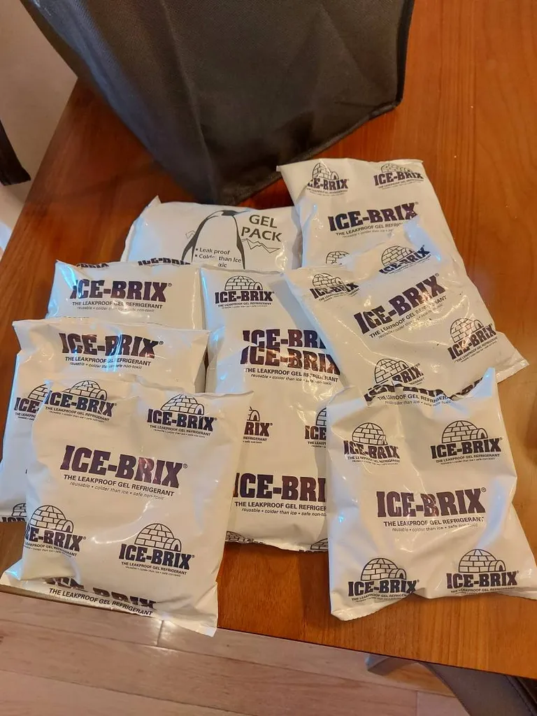 Freezer/gel Packs...free If Picked Up Today (August 3rd) photo 1