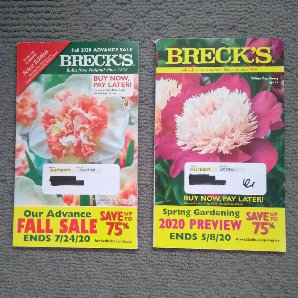 🆓 Magazines photo 1