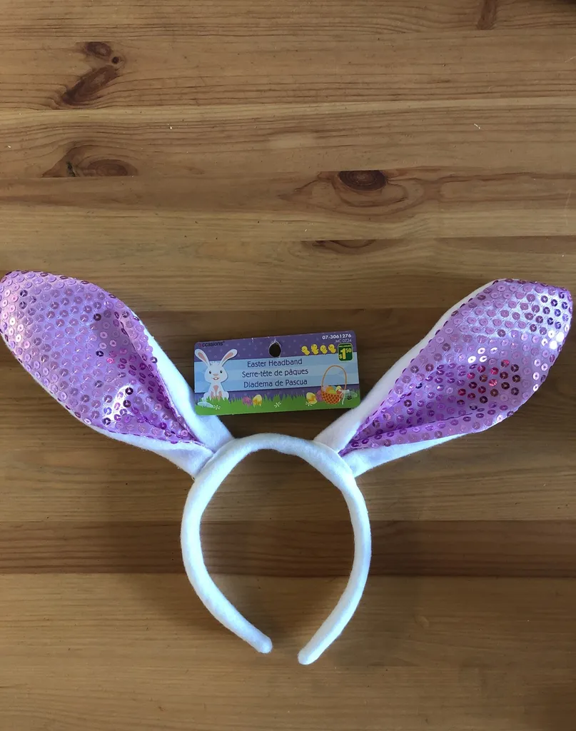 Bunny Ears Brand New photo 1