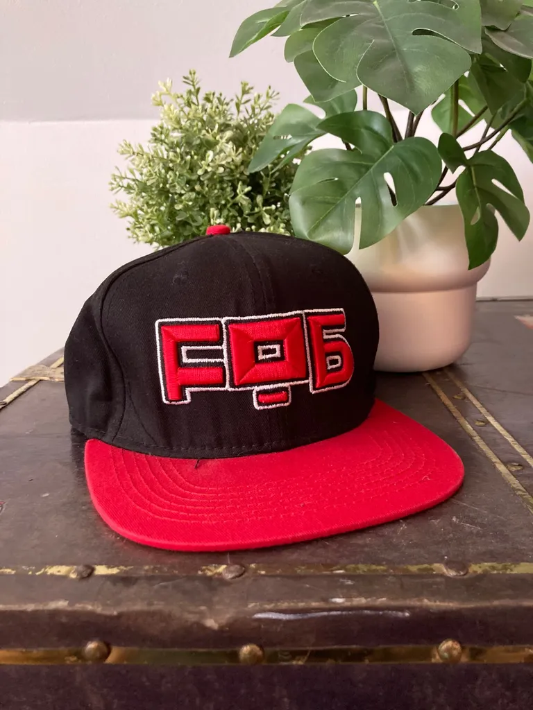 Fall Out Boy snapback photo 1