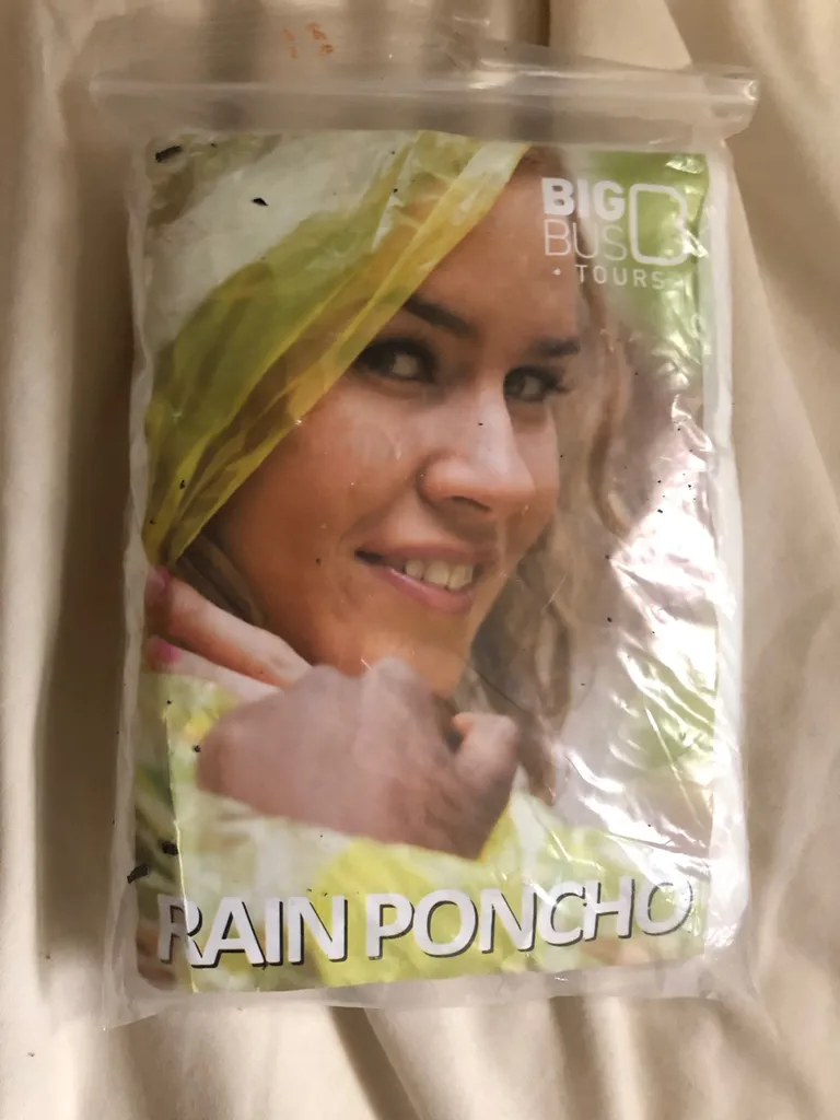 Rain Poncho photo 1