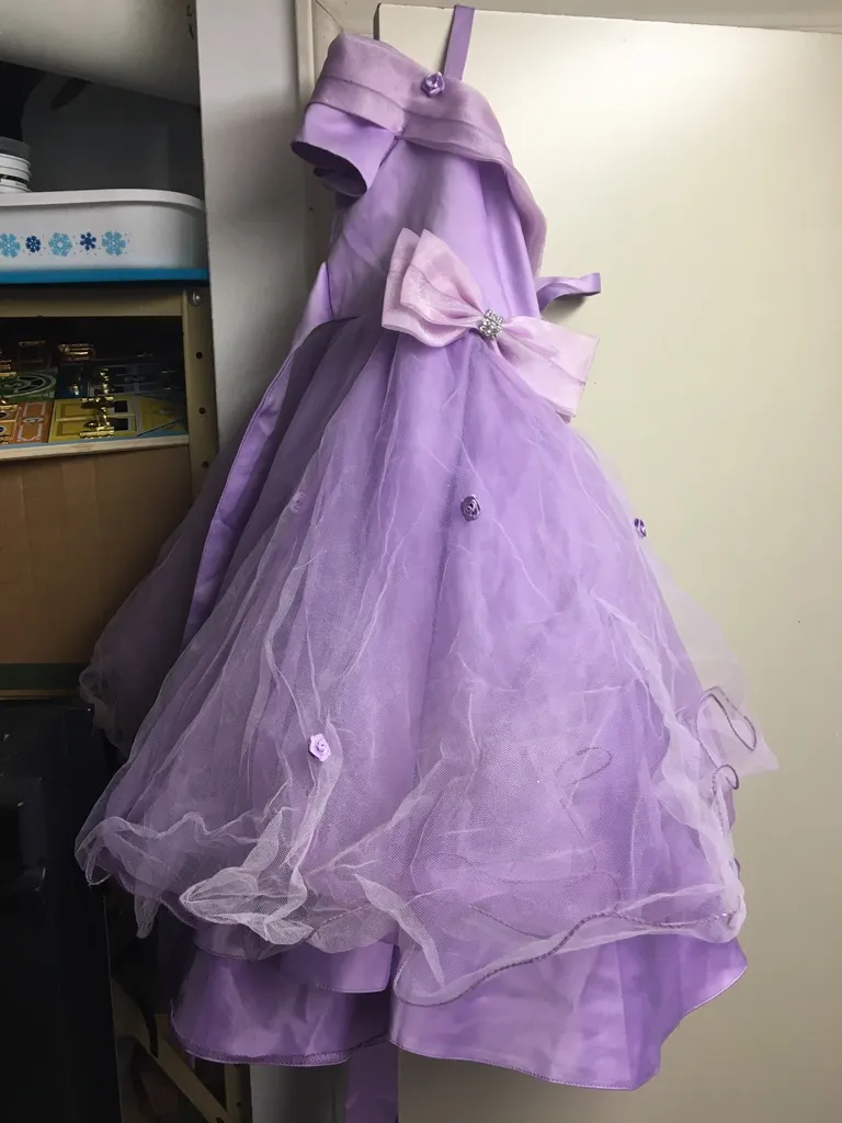 Tutus, Princess Dressed And Bee Costume photo 1