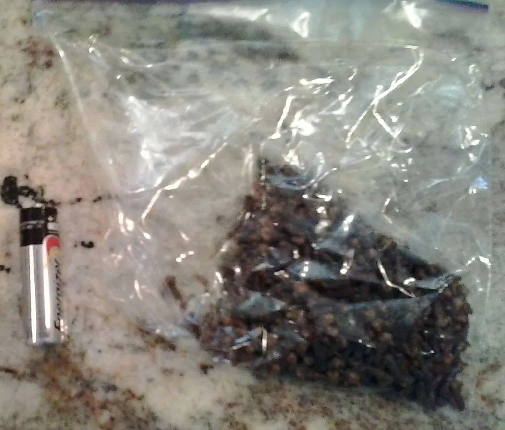 Whole cloves! photo 1