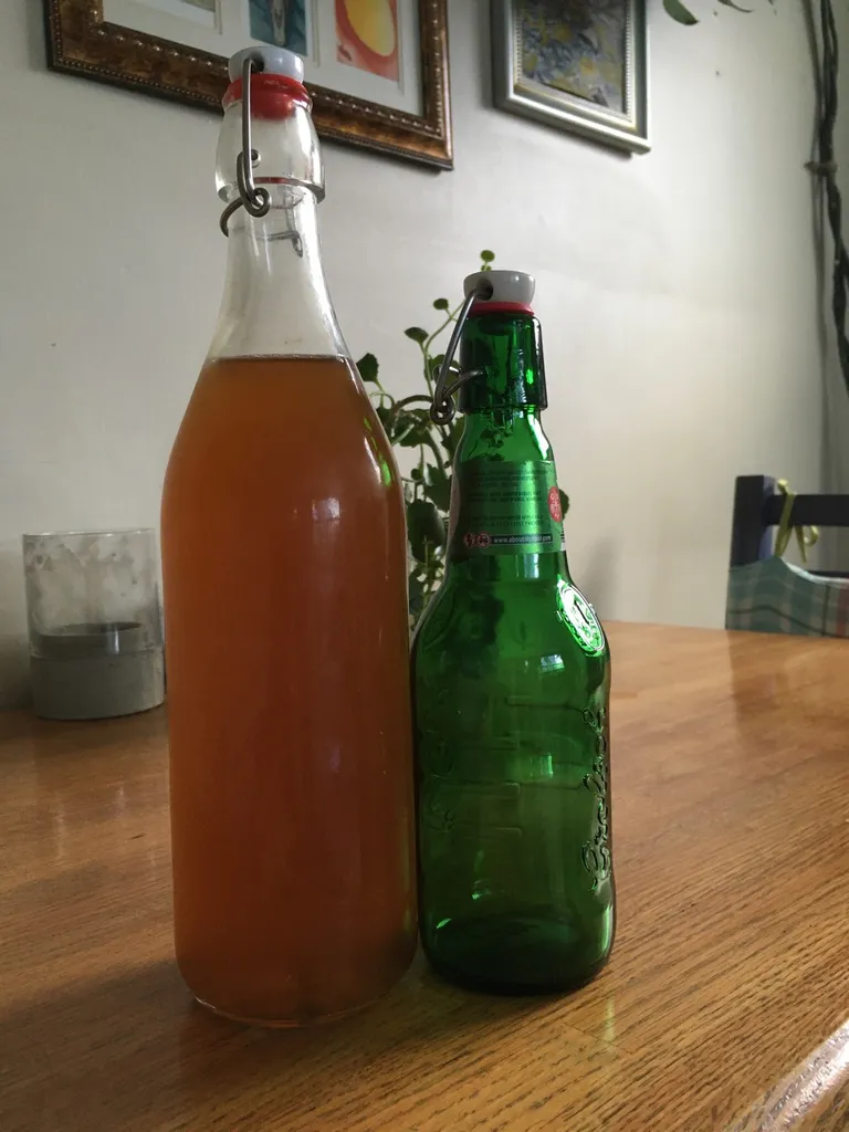 Homemade Kombucha photo 1