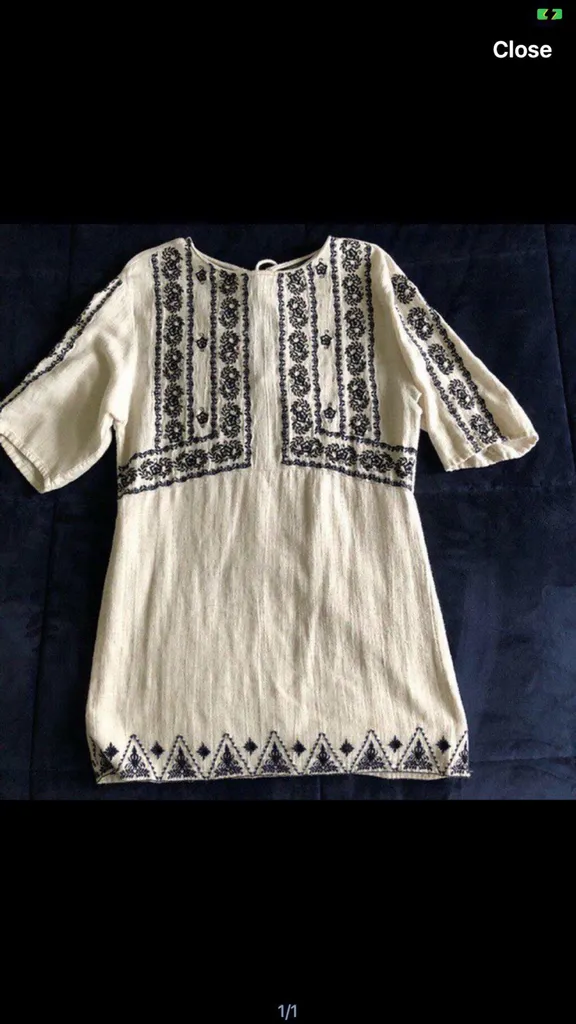Zara Trafaluc Embroidered Dress photo 1