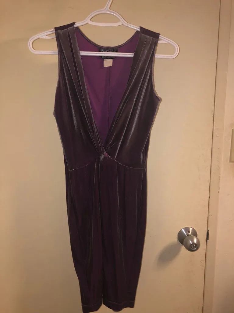 Velvet Party Dress (Size S) photo 1