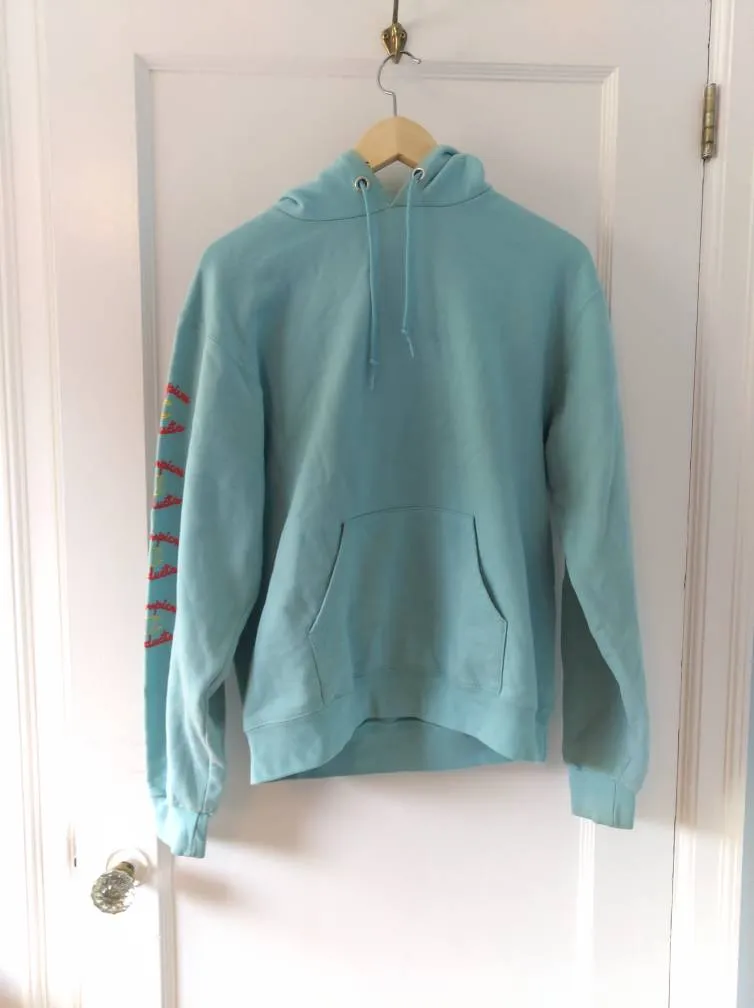 champion hoodie photo 1