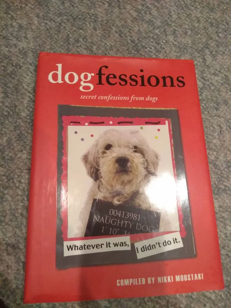 Picture Book Dogfessions photo 1