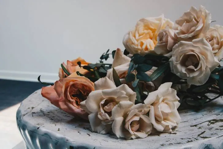 Creative Photo Session (Portrait Or Event) photo 1