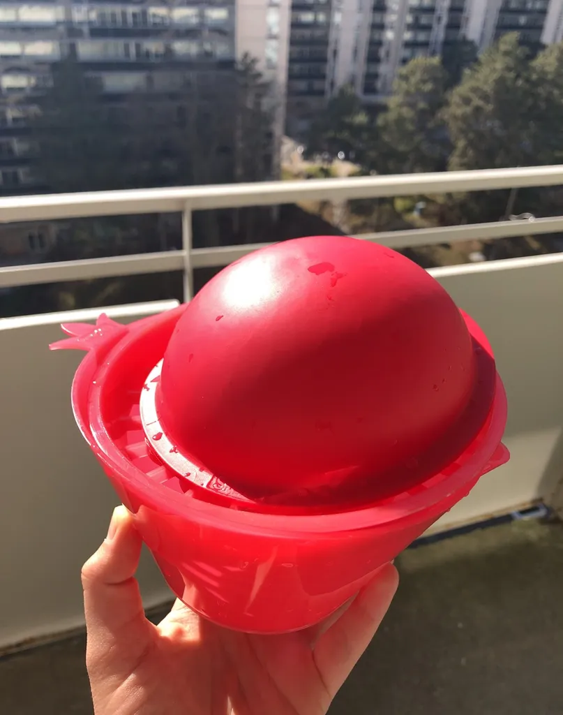 FREE Pomegranate Cleaning Dish photo 1