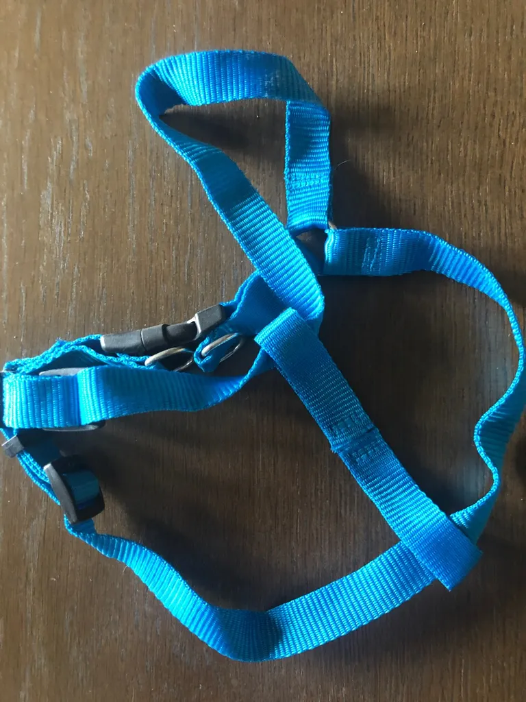 Smaller Sized Adjustable Pet Harness photo 1