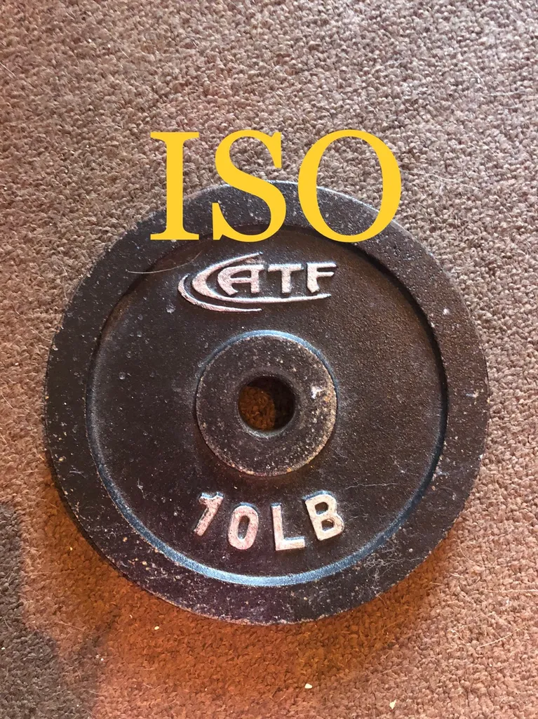 ISO One 10 pound weight like this photo 1