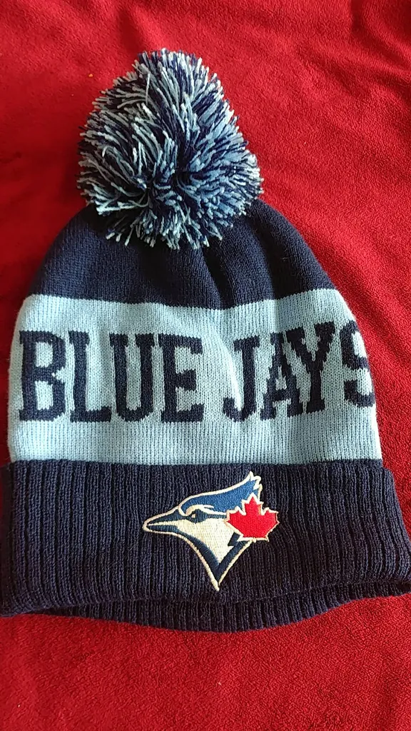 Unworn Blue Jays Unisex One Size Toque photo 1