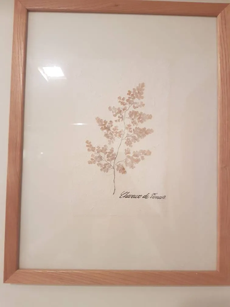 Framed Press Fern photo 1