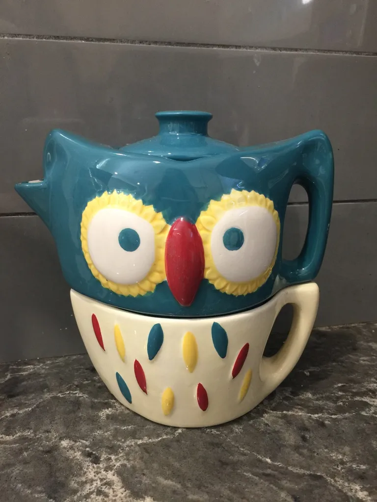 Owl Tea Pot And Mug Combo photo 1