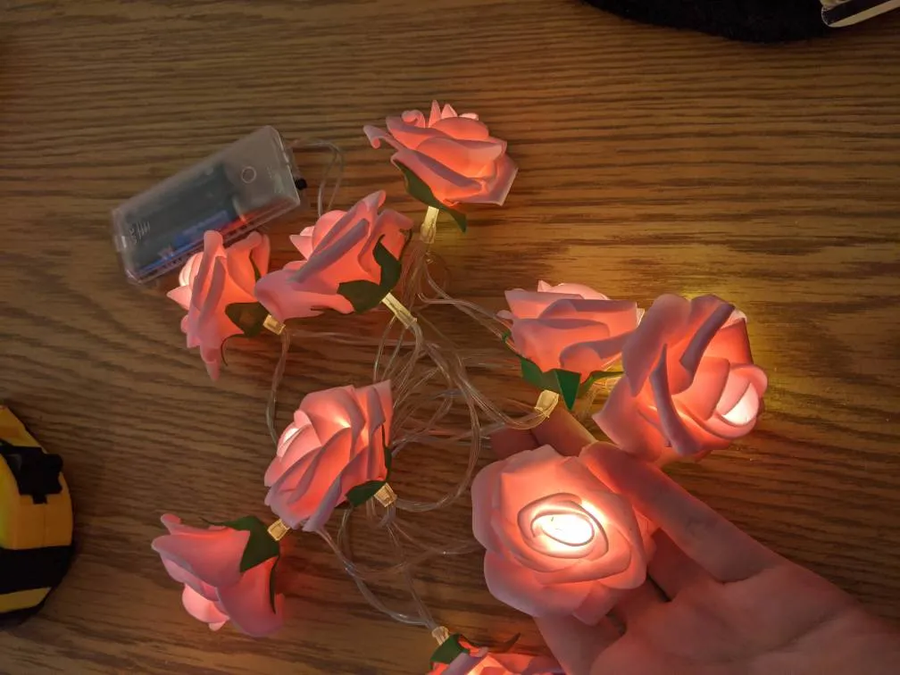rose fairy lights photo 1